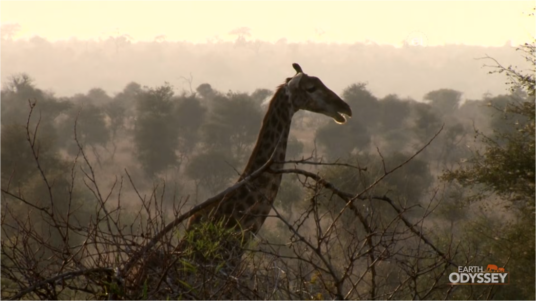 Earth Odyssey With Dylan Dreyer S06E10 [1080p] (x265) 2rLg62TU_o