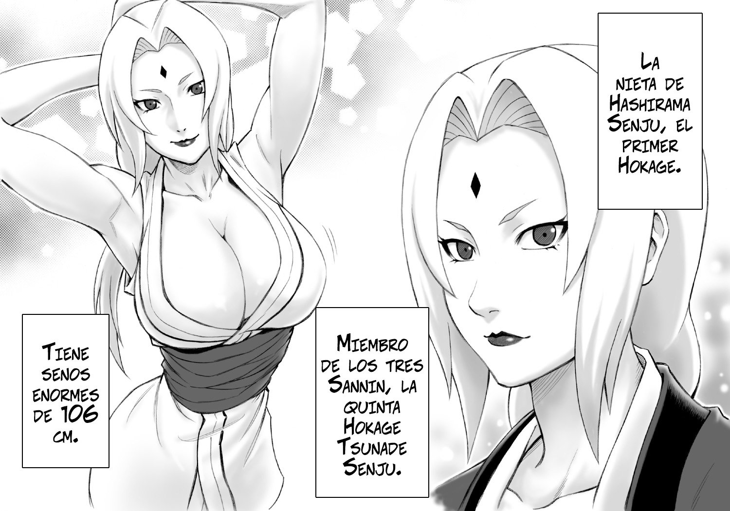 Akogare no Tsunade-sama o Zettai Haramasetai_ Quiero embarazar a Tsunade_sama - 2