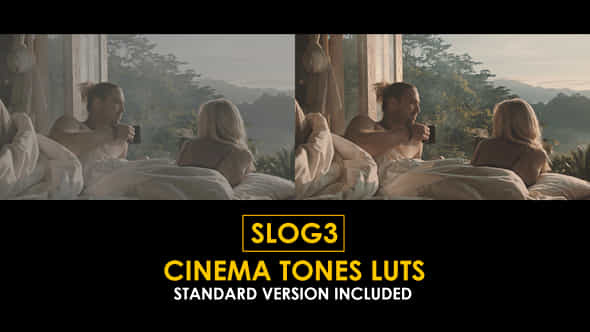 Slog3 Cinema Tones And Standard Color Luts - VideoHive 51103887