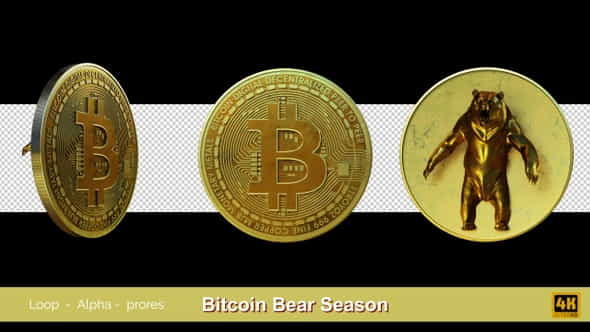 Bitcoin Bear Season - VideoHive 29543445