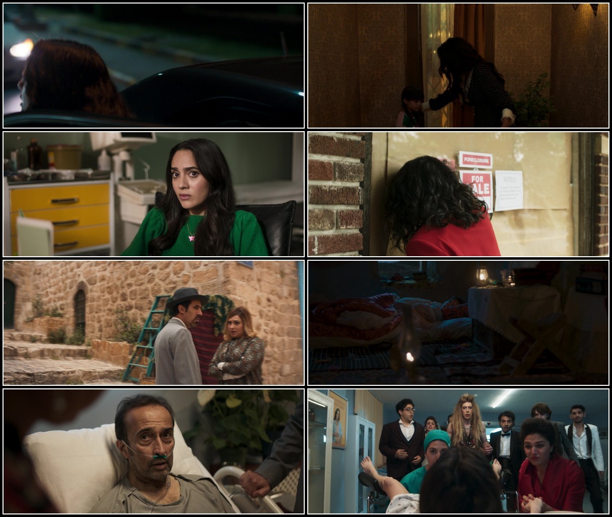 The Persian Version (2023) 1080p AMZN WEB-DL DDP5 1 H 264-FLUX MPK965z3_o