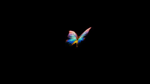 Rainbow Butterfly - Flying Loop - VideoHive 34111166