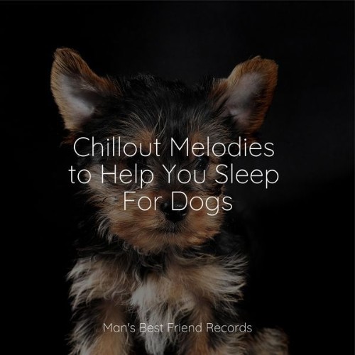 Music for Pets Library - Chillout Melodies to Help You Sleep For Dogs - 2022