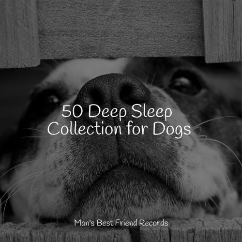 Music for Dogs Collective - 50 Deep Sleep Collection for Dogs - 2022