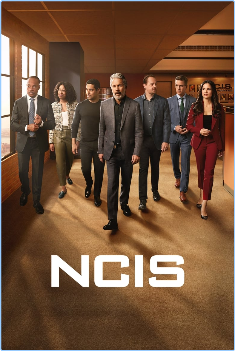 NCIS S21E08 [1080p] (x265) [6 CH] 5q9eW9SL_o