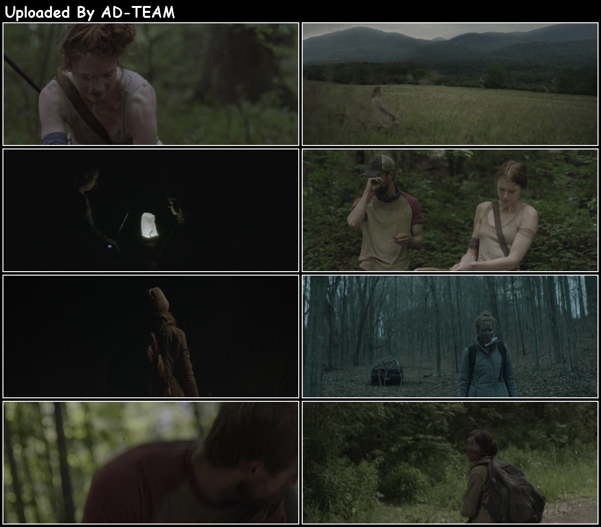 Here Alone 2016 1080p WEBRip x265-RARBG U0bhl9lU_o