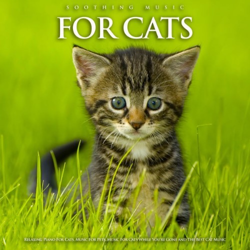 Cat Music - Soothing Music For Cats Relaxing Piano For Cats, Music For Pets, Music For Cats While...