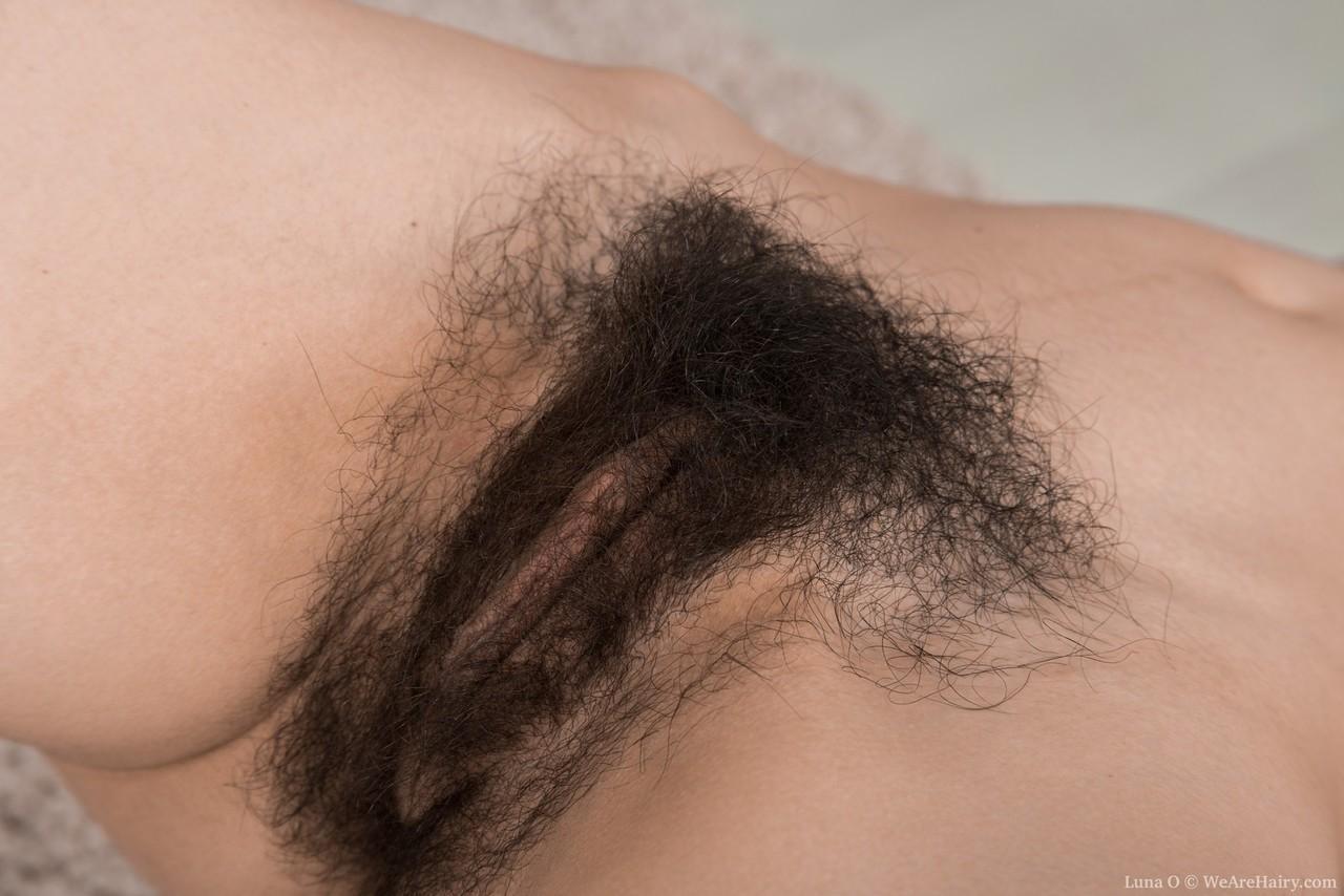 Skinny teen Luna O takes delight in displaying her hairy underarms and beaver(15)