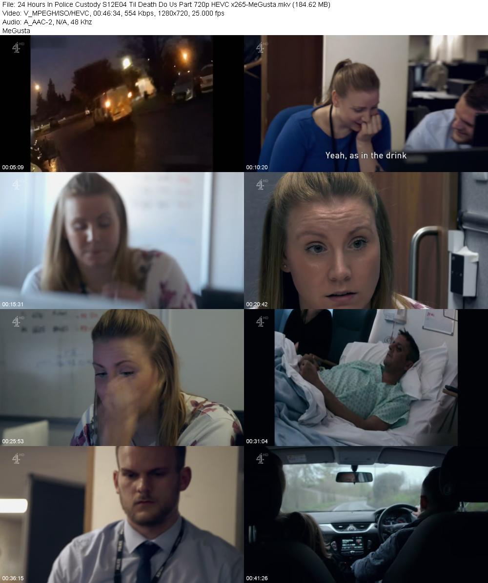 24 Hours In Police Custody S12E04 Til Death Do Us Part 720p HEVC x265