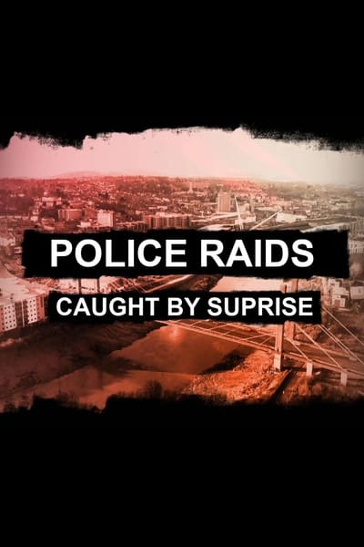 Raids Caught By Surprise S01E01 The Enforcers HDTV x264-LINKLE