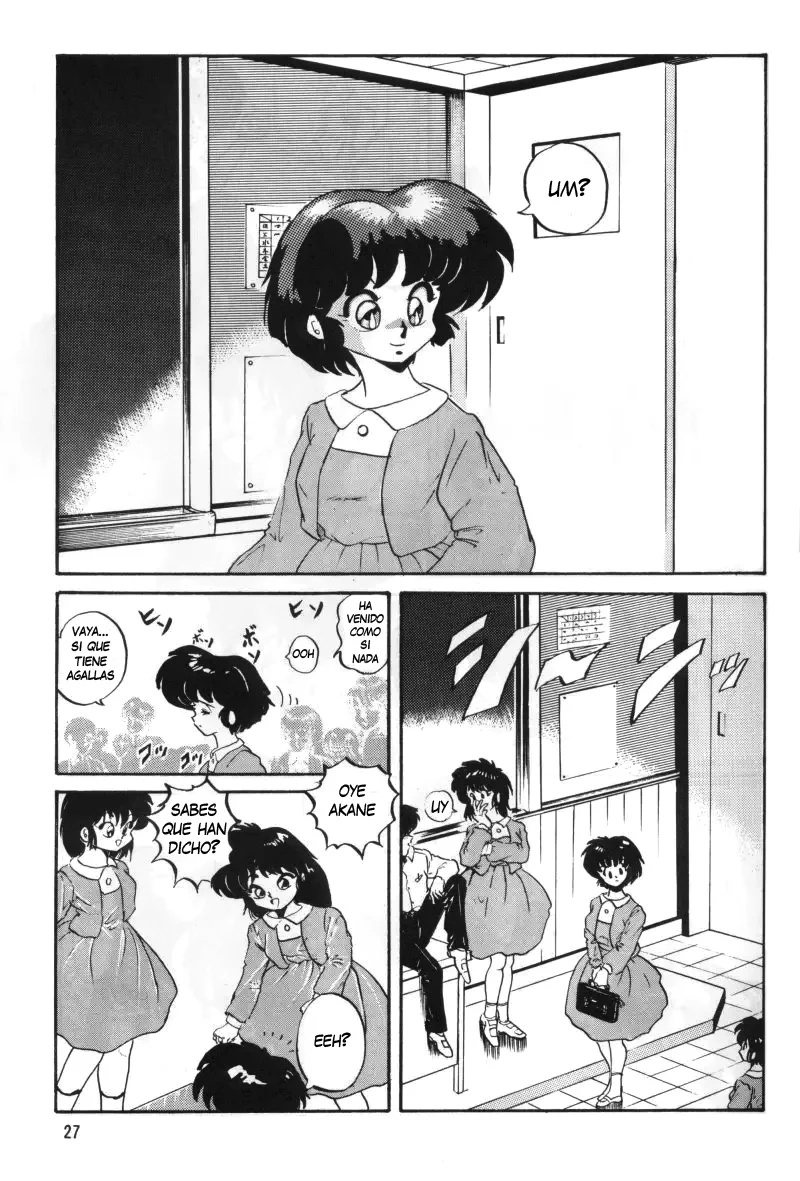 Anbi 1-2 (Ranma12) - 29