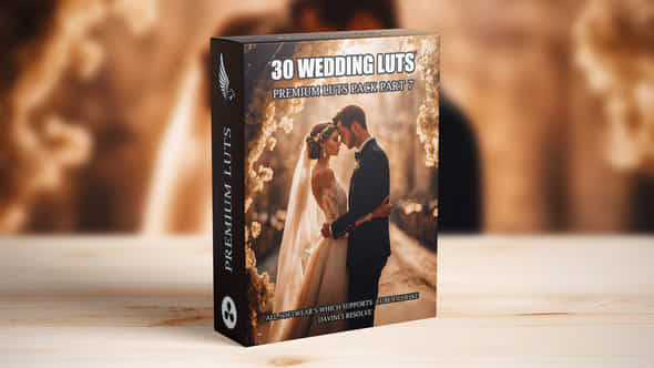 Top 30 Professional Cinematic Wedding Luts For Wedding Filmmakers Part 7 - VideoHive 49639917
