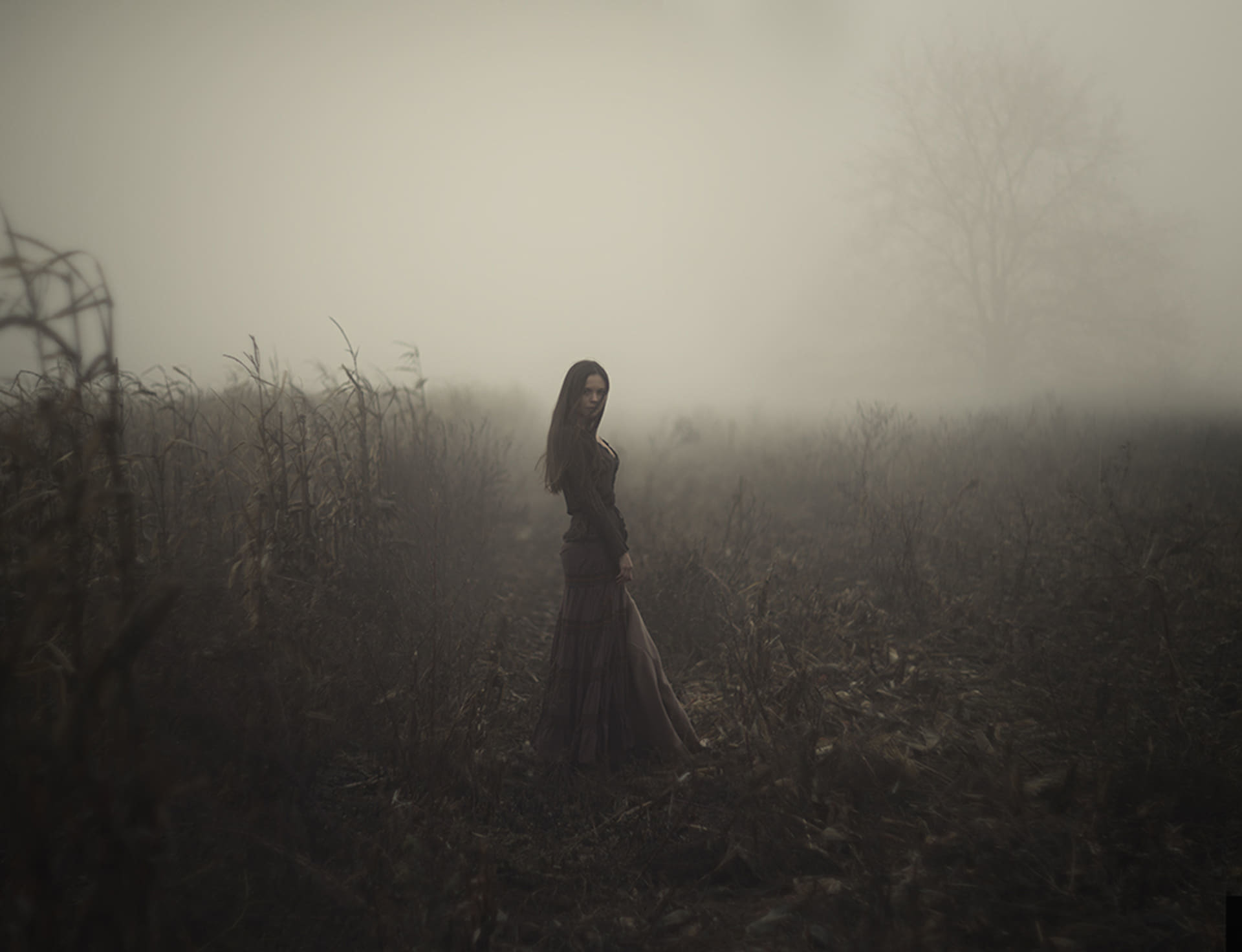 Оделась туманом. Фотограф Дэвид Дубницкий. Девушка в тумане. Фотосессия в тумане.
