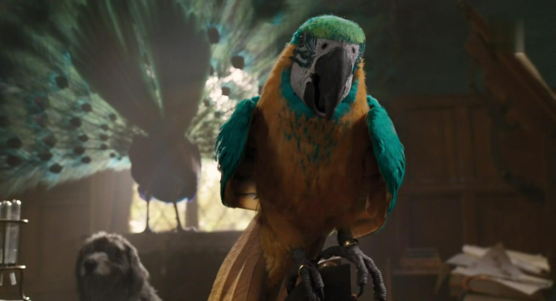 Dolittle (2020) 1080p HDRip X264 AC3-EVO Dolittle (2020) 1080p HDRip X264 AC3-EVO