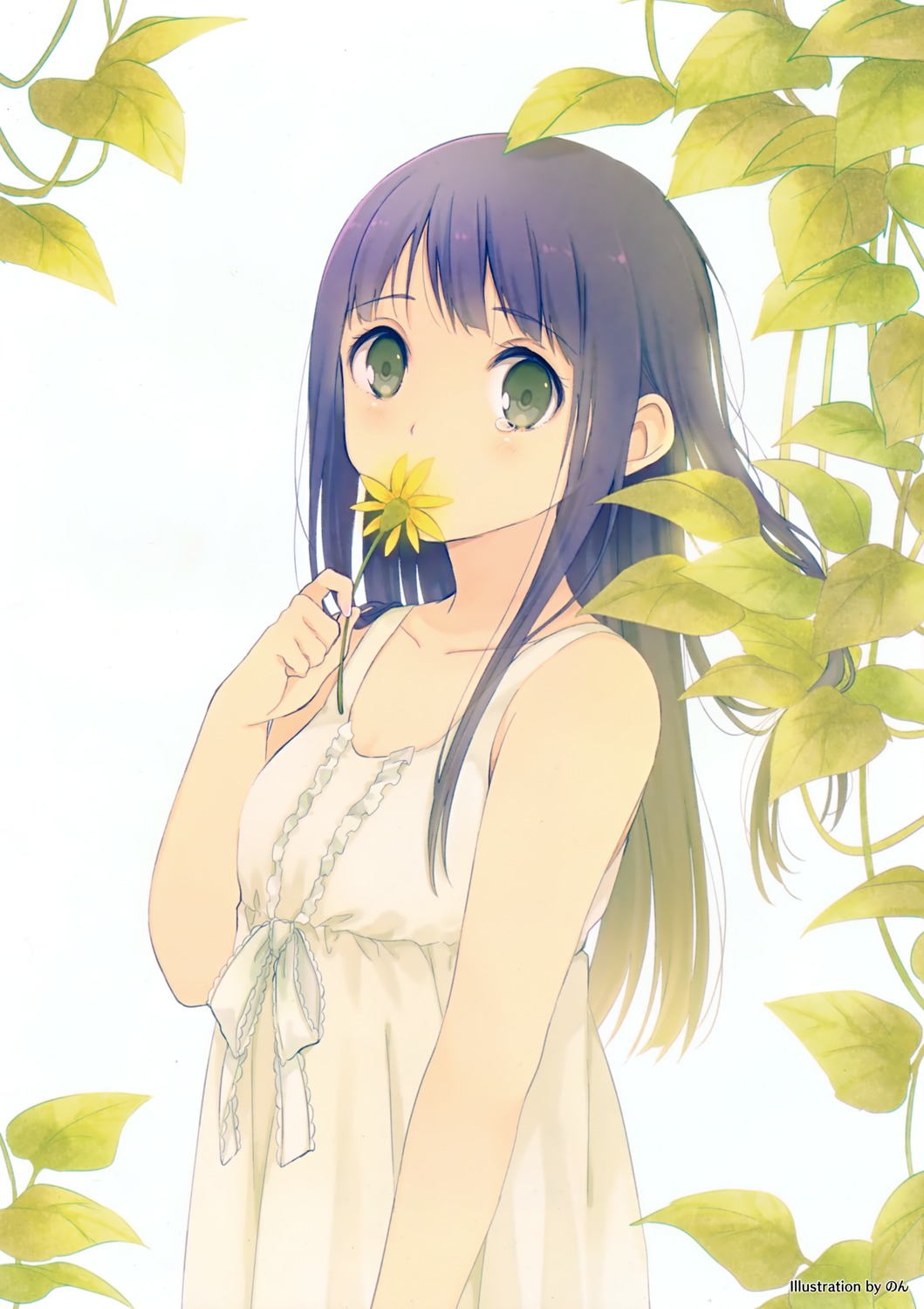image host
