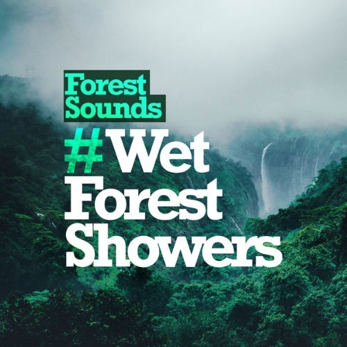 Forest Sounds - # Wet Forest Showers - 2019
