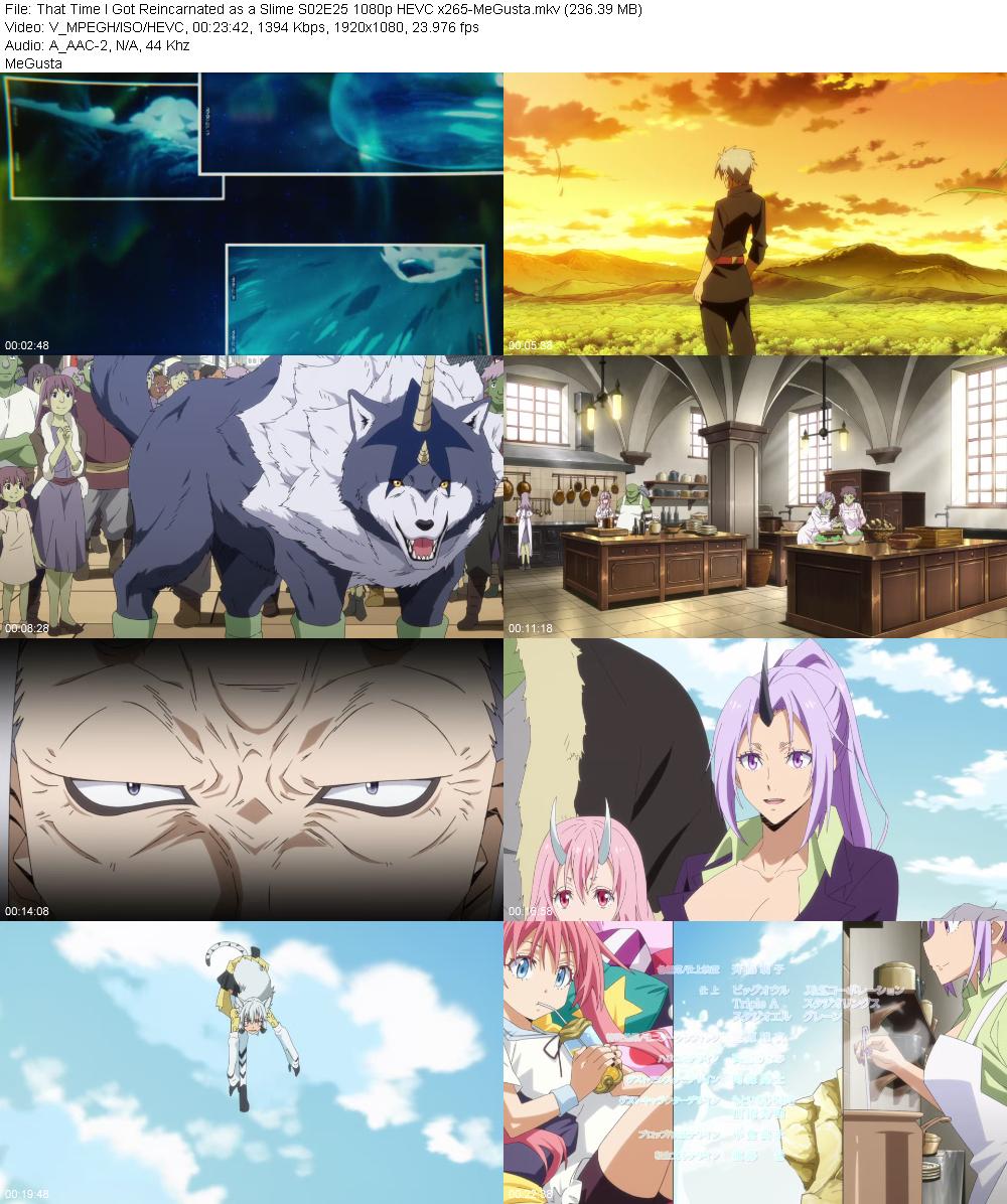 That Time I Got Reincarnated as a Slime S02E25 1080p HEVC x265