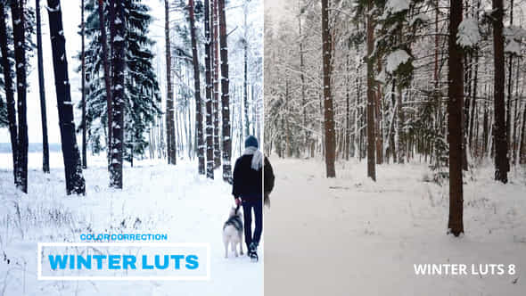 LUTs Winter - VideoHive 43400326