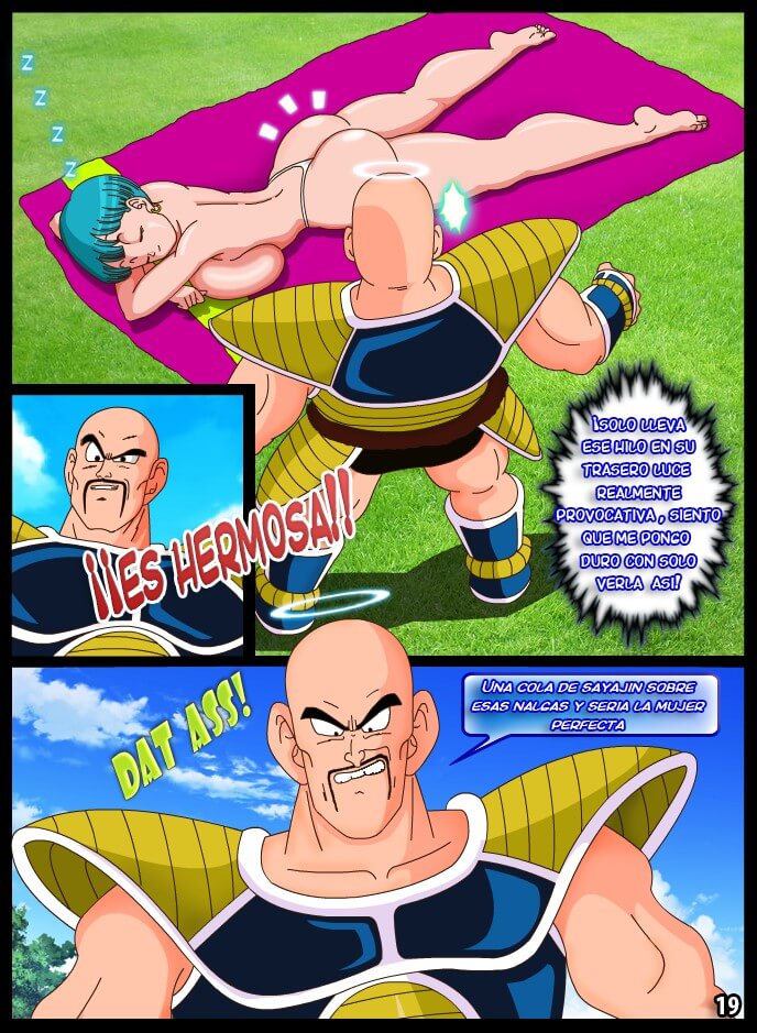 La Venganza de Nappa Comic XXX - 18