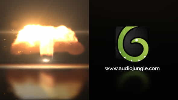 Fire Twist Logo Reveal - VideoHive 23363146