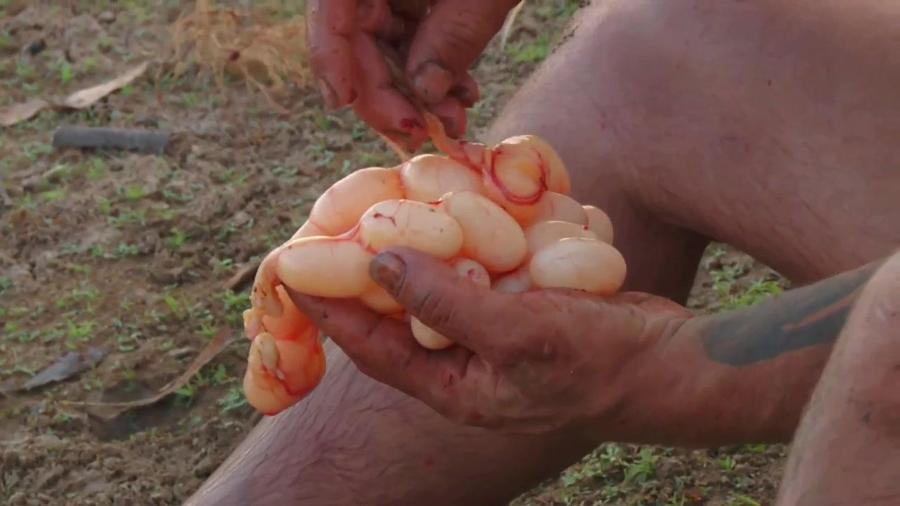 Naked and Afraid XL S06E08 Keep Your Frenemies Close 720p DISC WEB-DL AAC2 0 x264-BOOP Naked and Afraid XL S06E08 Keep Your Frenemies Close 720p DISC WEB-DL AAC2 0 x264-BOOP