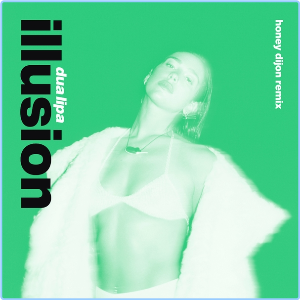 Dua Lipa Illusion Honey Dijon Remix (2024) WEB [FLAC] 16BITS 44 1KHZ MwJv41lp_o