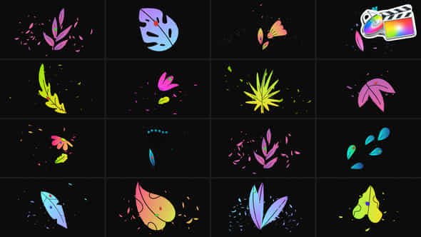 Flowers Pack For Fcpx - VideoHive 48887747