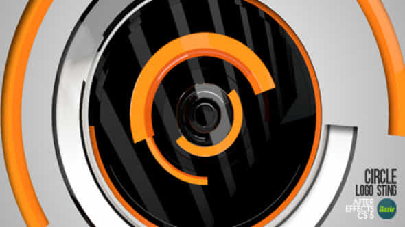 Circle Logo Sting - VideoHive 2531148
