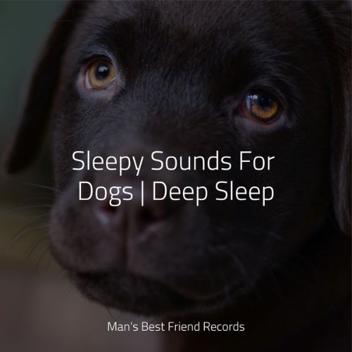 Music For Dogs Peace - Sleepy Sounds For Dogs  Deep Sleep - 2022