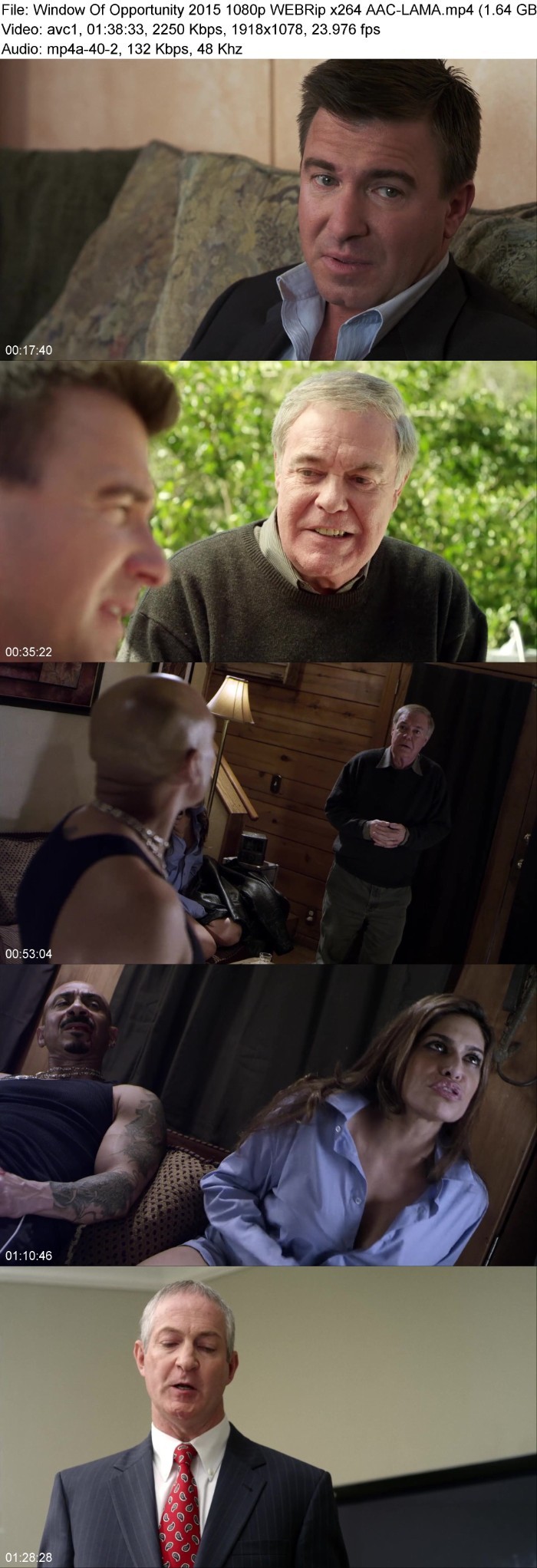 Window Of Opportunity (2015) 1080p WEBRip-LAMA 7ImdtpVU_o