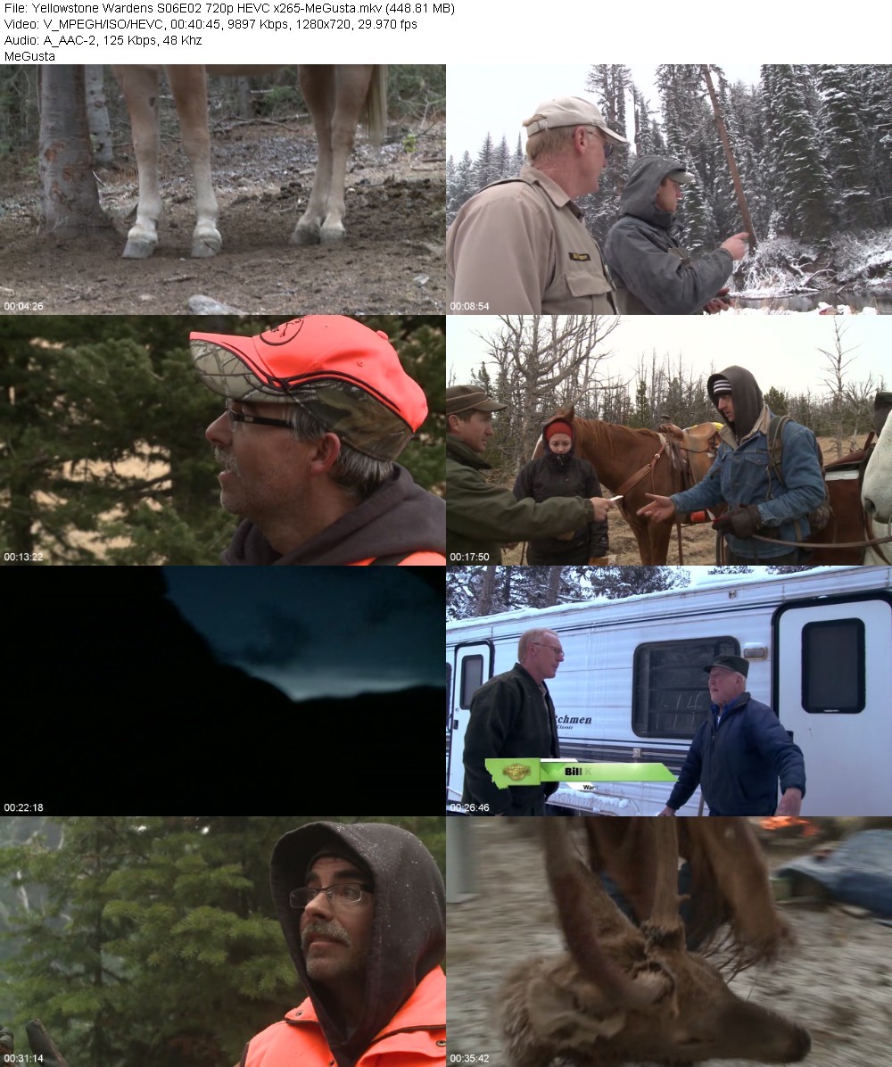 Yellowstone Wardens S06E02 720p HEVC x265-MeGusta