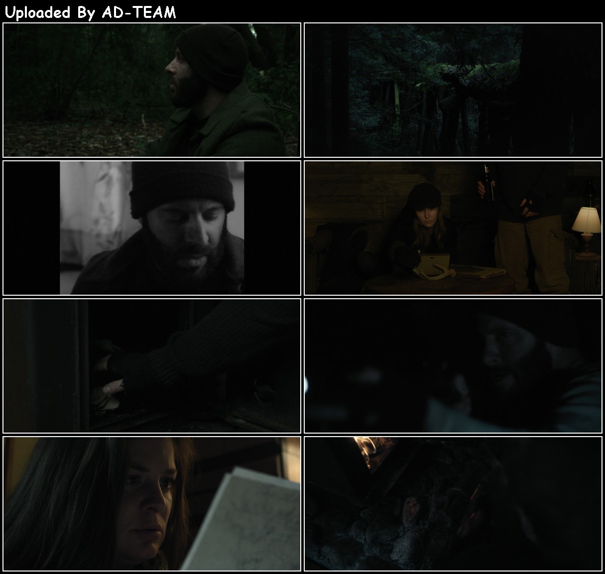 SaTor 2019 1080p WEBRip x265-RARBG KF2Xer2k_o