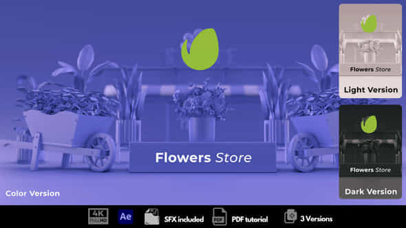 Flowers Store - VideoHive 50804384