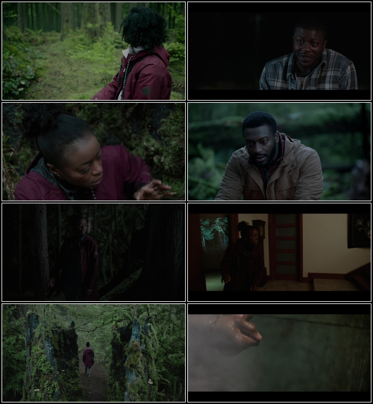 Parallel (2024) 2160p 4K WEB 5.1 YTS 5oL0FvFV_o