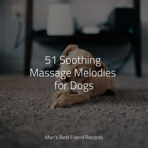 Calming Music for Dogs - 51 Soothing Massage Melodies for Dogs - 2022