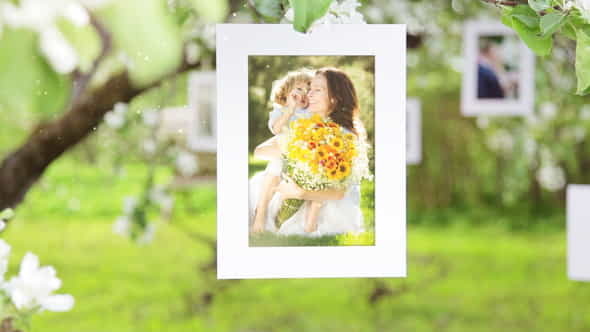 Photo Gallery Blossoms and Bees - VideoHive 6353451