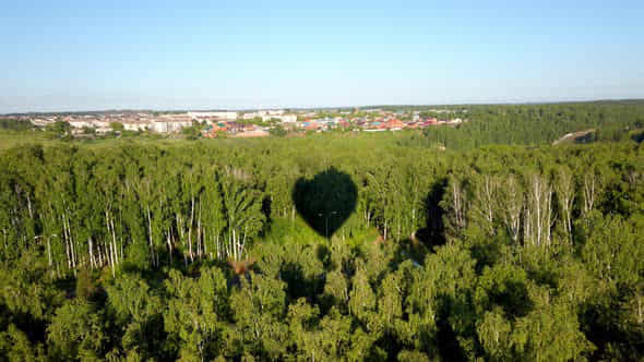 Hot Air Balloon Shadow On Green Trees On A Sunny Summer Day - VideoHive 50962192