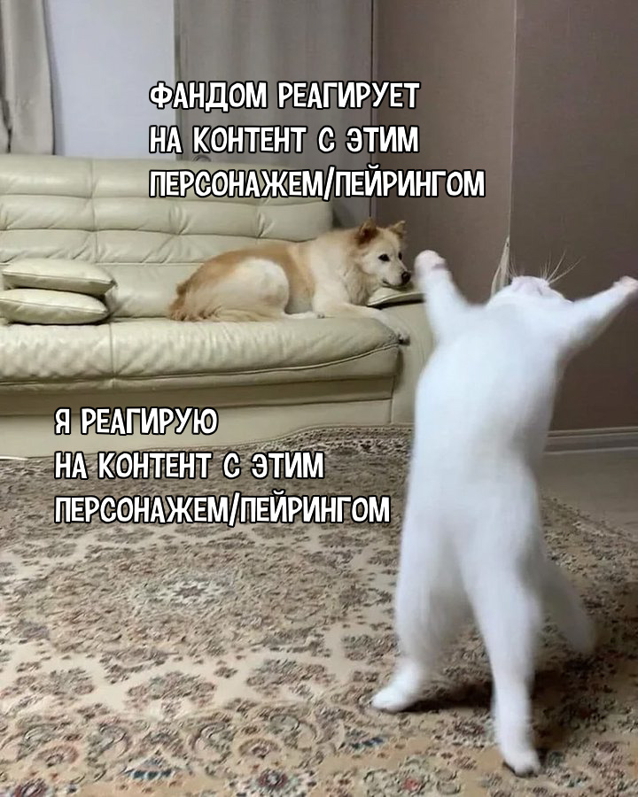 gvxiCejE_o.jpg
