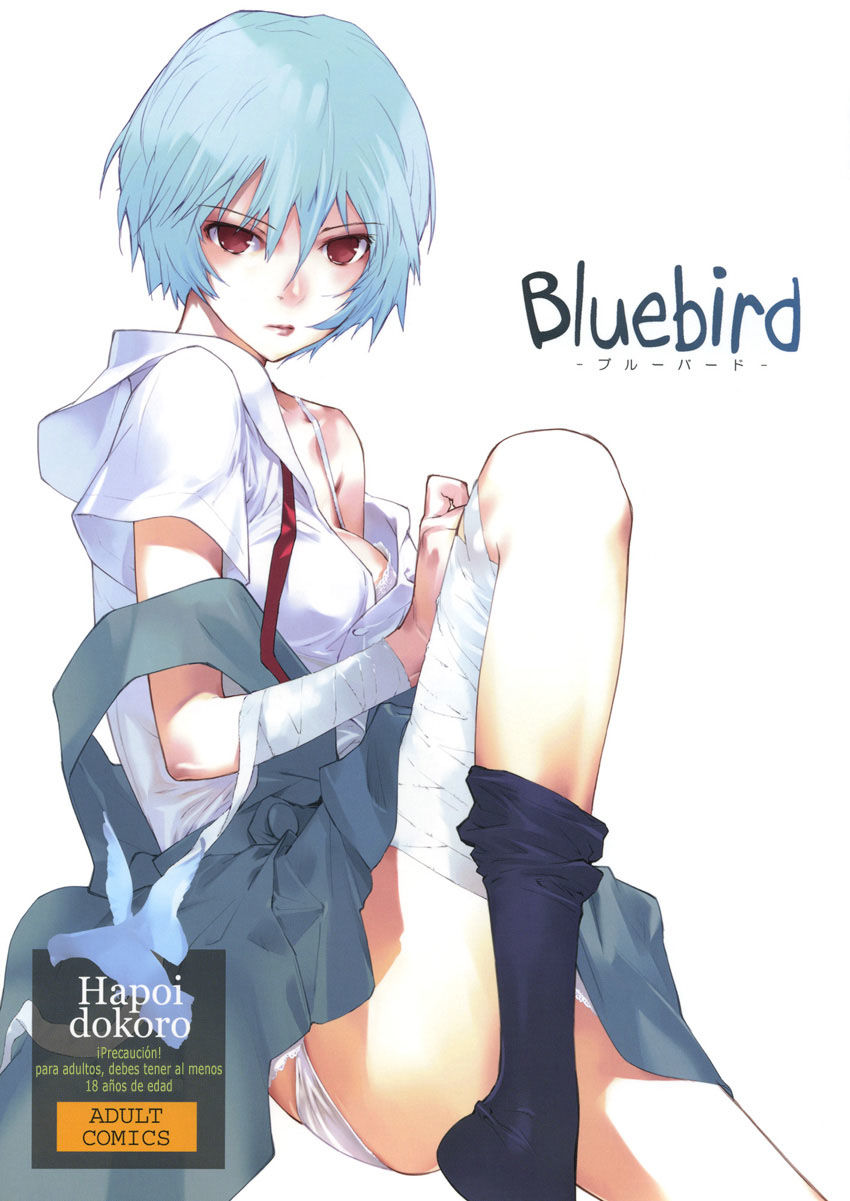 Bluebird - 3