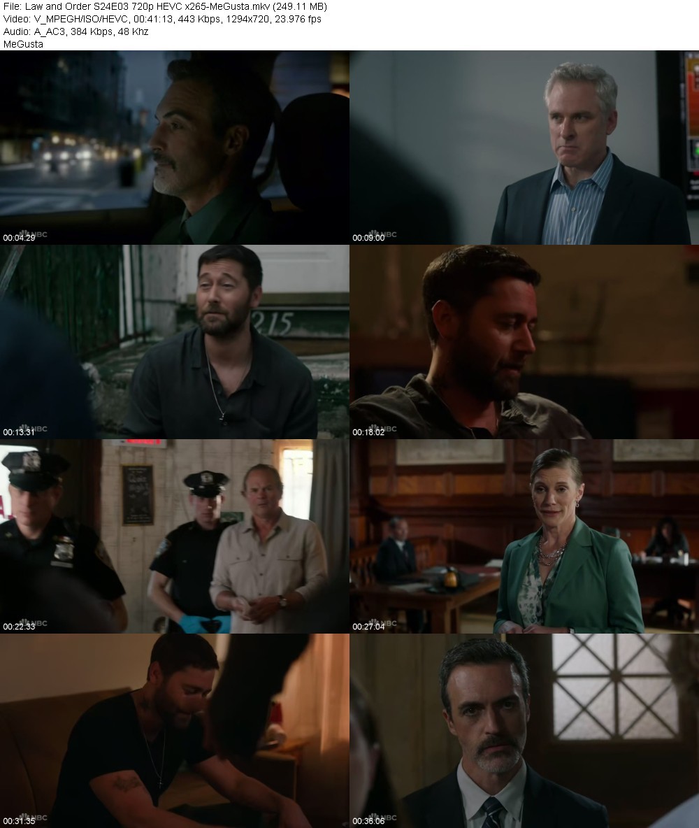 Law and Order S24E03 720p HEVC x265-MeGusta