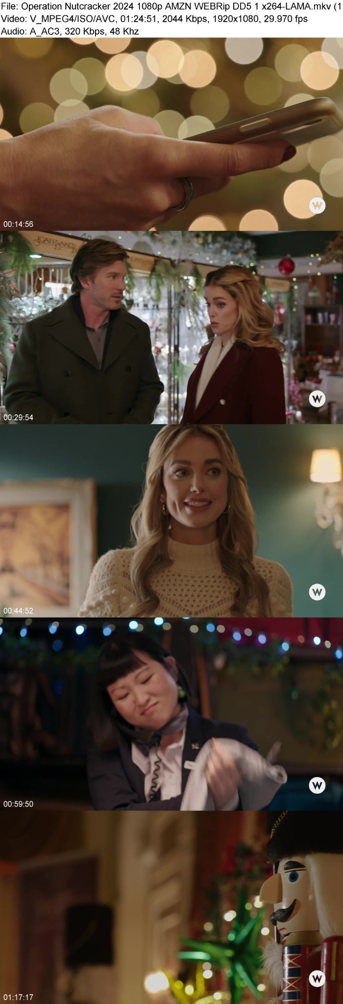 Operation Nutcracker (2024) 1080p AMZN WEBRip DD5 1 x264-LAMA Haqxg6vj_o