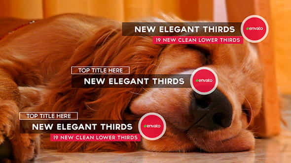 New Elegant Thirds - VideoHive 11699151
