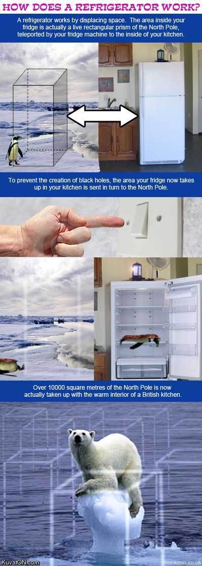 Refrigerator KCqKQORX_o