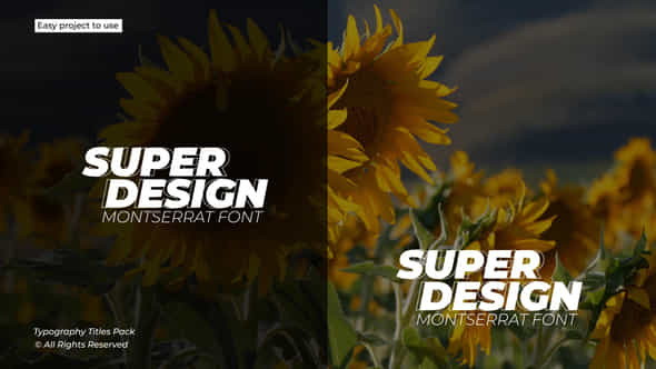 Typography Titles 10 After Effects - VideoHive 49346173