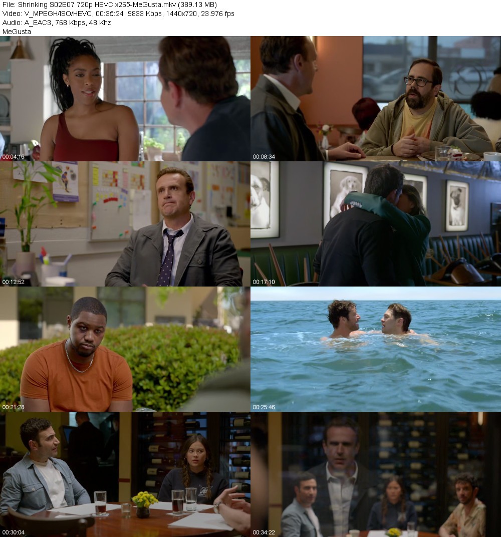 Shrinking S02E07 720p HEVC x265-MeGusta