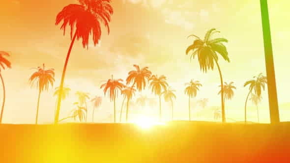 Summer Sunset Background - VideoHive 26643508