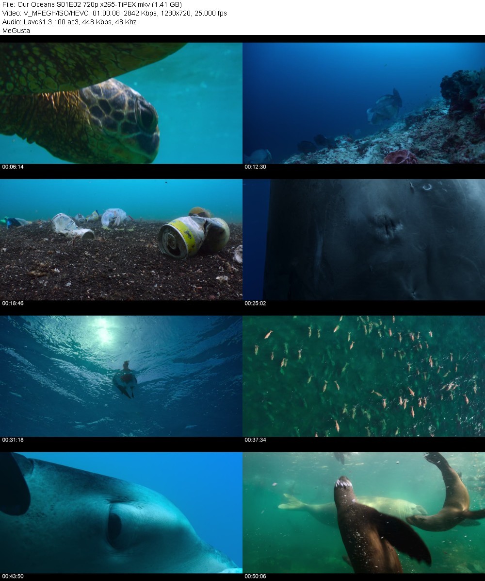 Our Oceans S01E02 720p x265-TiPEX