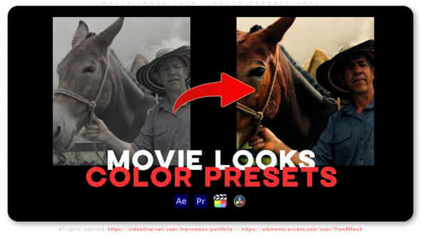 Movie Looks Luts Color Presets Pack - VideoHive 50534031