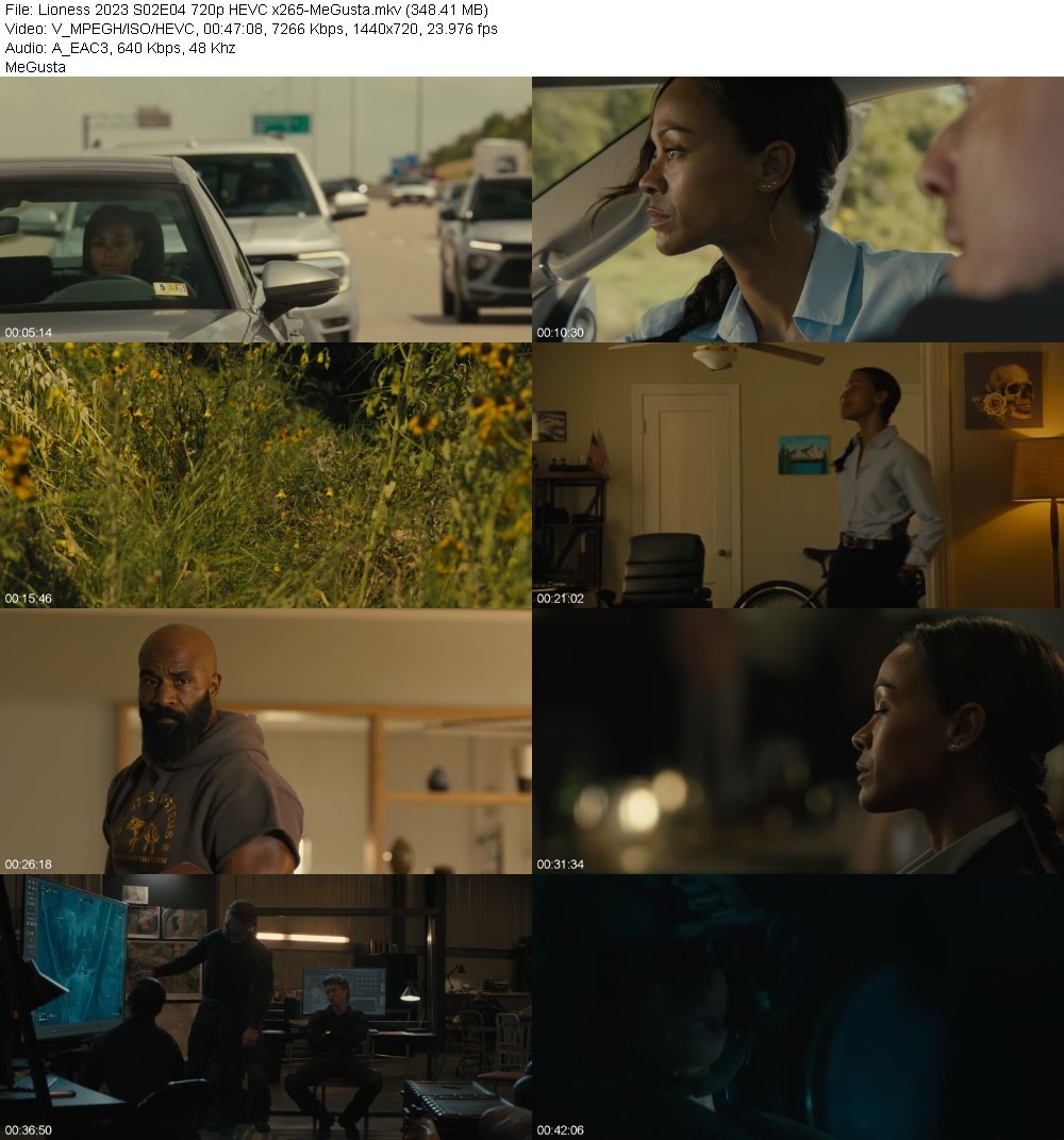 Lioness 2023 S02E04 720p HEVC x265-MeGusta