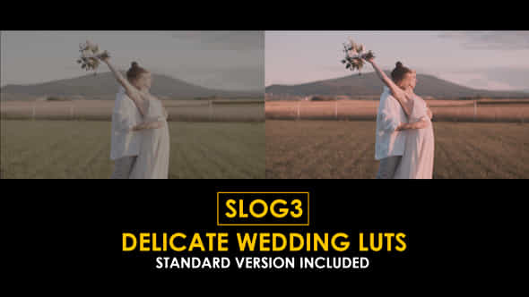 Slog3 Delicate Wedding And Standard Luts - VideoHive 51099921